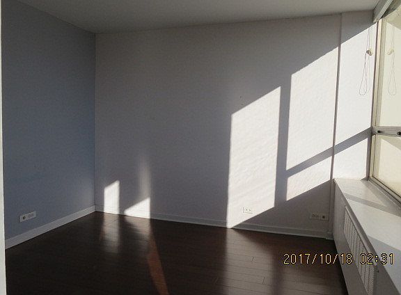 5th image of 1360 N Sandburg Ter APT 2709