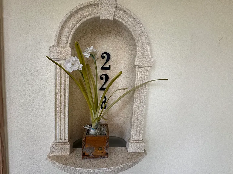 101 Palm Harbor Pkwy #C-228 — Photo 13