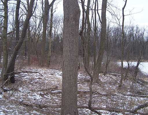 1st image of E Kinsel