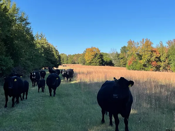 State Highway 37 Alt, Winnsboro, TX 75494