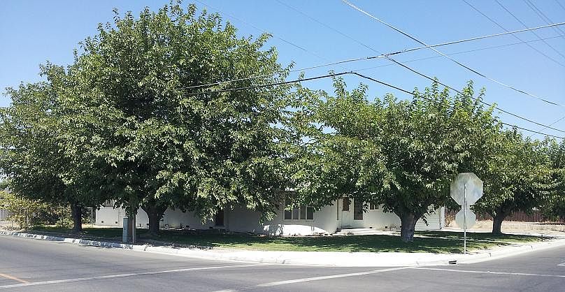 Corner of Dairy and Orange