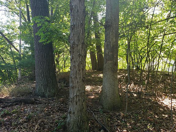 2nd image of 3362 Lakeshore Dr