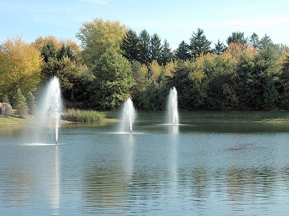 Entry ponds & fountains 