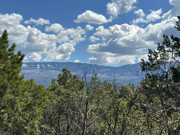 Lot 69 Pinon East Road, Ridgway, CO 81432