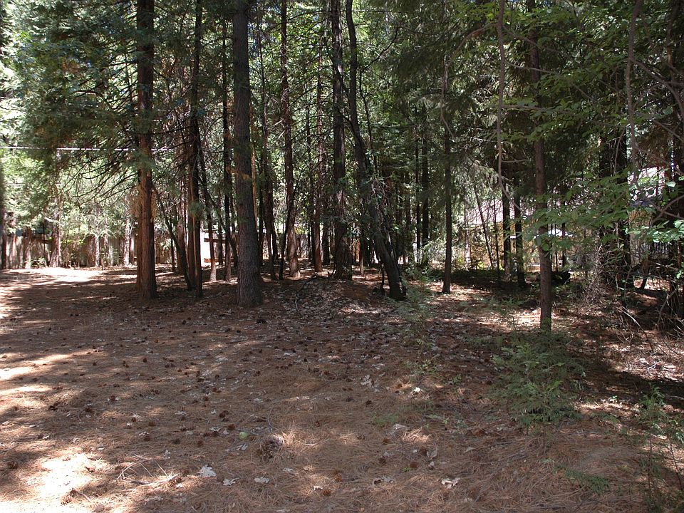 2nd image of 000 Del Oro
