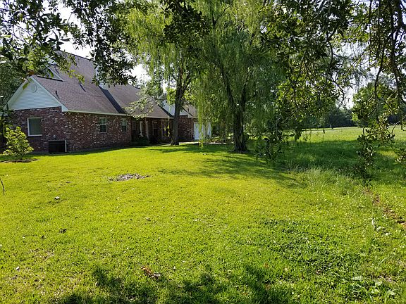 Large Backyard
