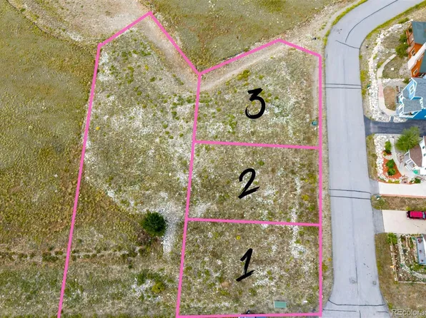 Platte Drive, Fairplay, CO 80440