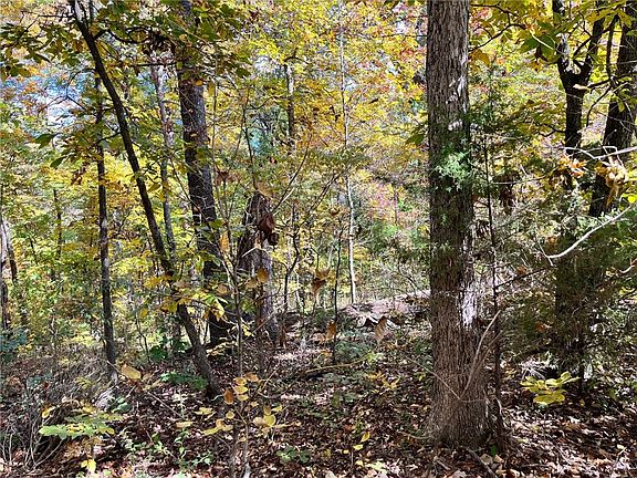 5th image of Bayhill Ln #9