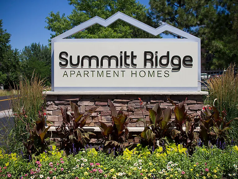 Summitt Ridge — Photo 5