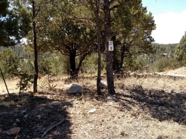 102 Promontory Pl, Alto, NM 88312