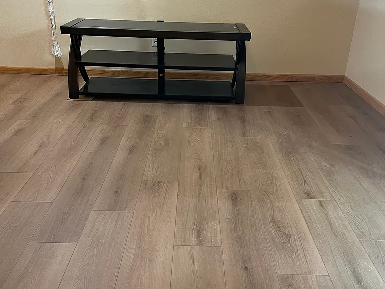 New Vinyl plank in basement