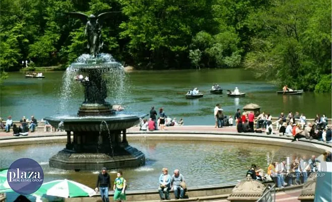 Rented by Plaza Real Estate Group | media 12