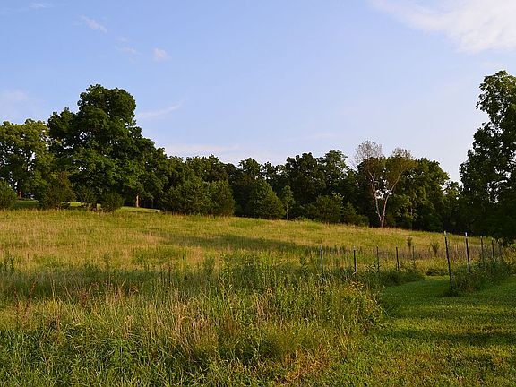 lower field  