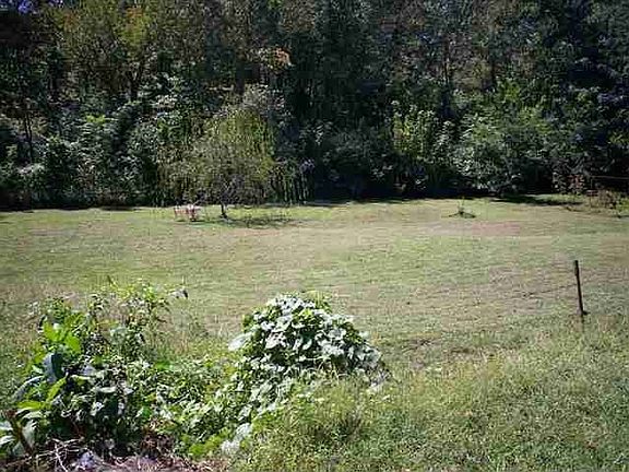 3rd image of 145 Bob Bell Cir