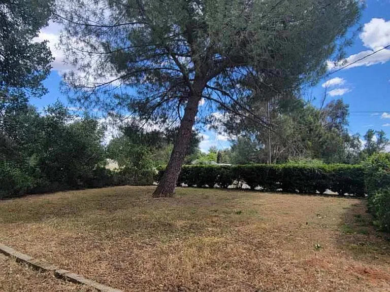 19572 Dovie Ln — Photo 3