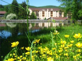 6447 Holiday Valley Rd #414/416-2, Ellicottville, NY 14731