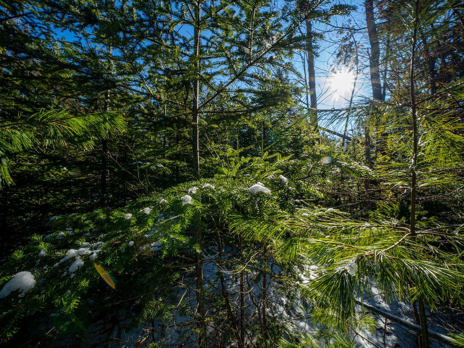 845 Reach Rd, Brooklin, ME 04616 Zillow