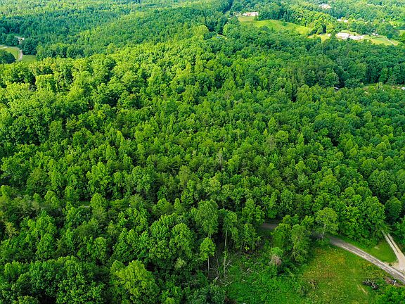 4th image of 9999 Brooks Rd