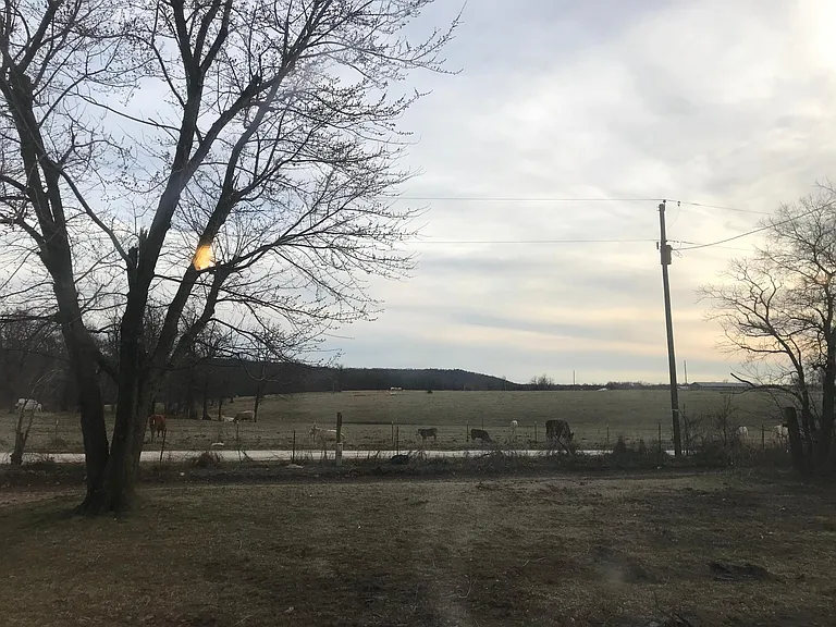 View from living room