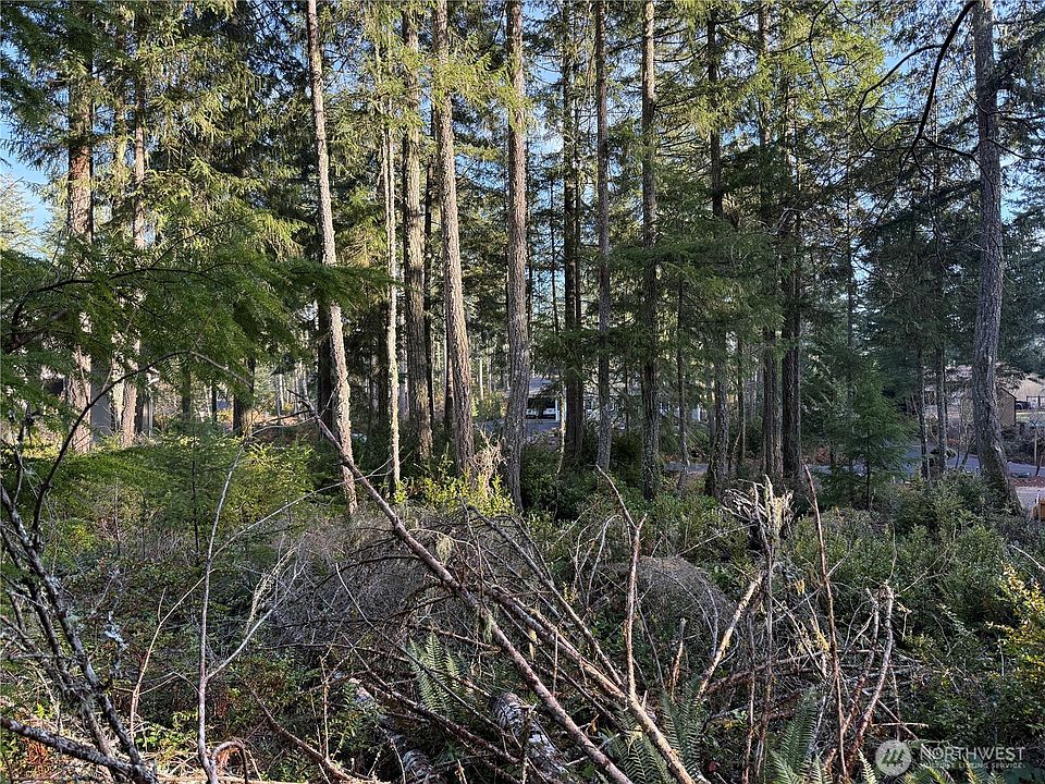 2nd image of 40 E Paint Brush Lane