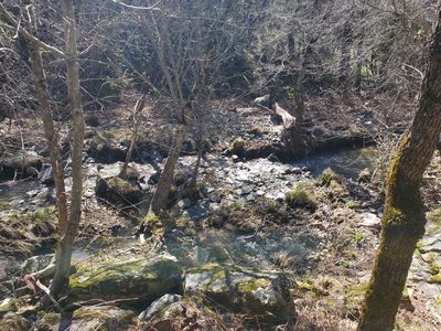 13763 Ridgeback Ln, Grass Valley, CA, 95949
