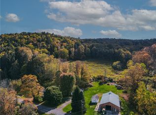 725 S Hill Rd, Spencer, NY 14883