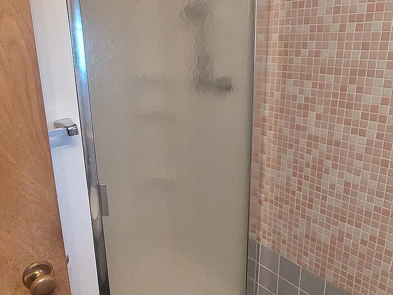 Glass shower door