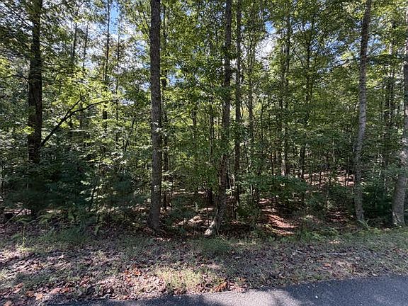 5th image of 556 Satsuma Ct S