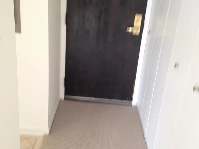 3930 N Pine Grove Ave #24 — Photo 14