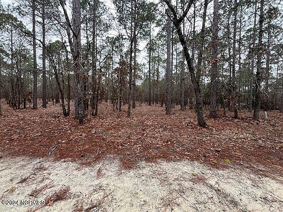 2nd image of 553 Del Sol Circle SE