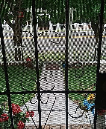 looking out the front screen