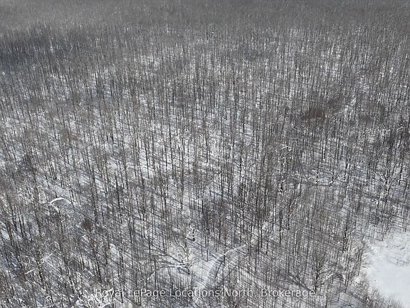 5th image of LOT 22 Side Road 22