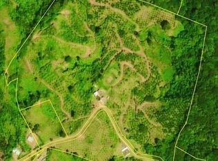 32 Carr. 603 Km 4.4 Barrio Roncador, Utuado, PR 00641
