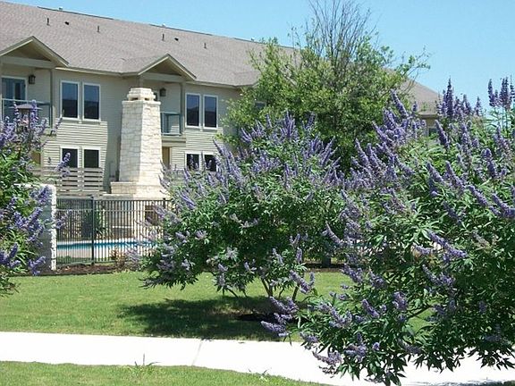 Mature Landscaping