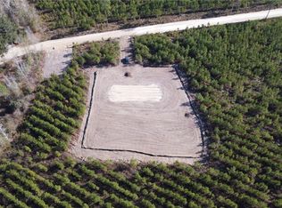 Tract #4 Bradwell Dunham Road, Ludowici, GA 31316