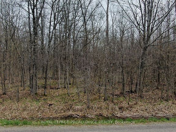 4th image of 0 Graham Lake Rd