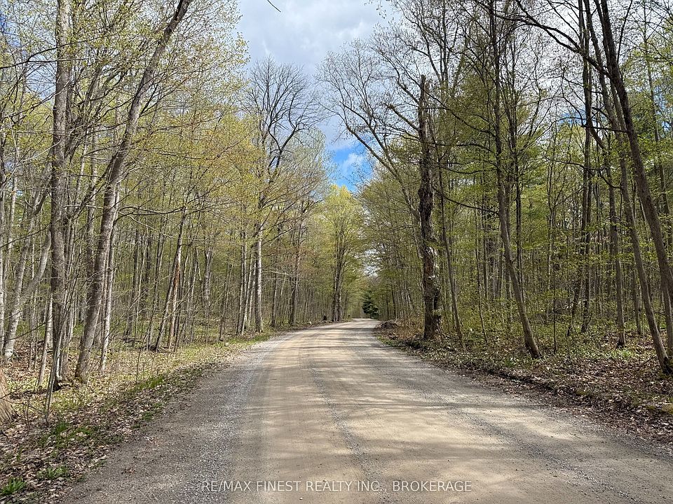 1st image of 162 Black Rapids Rd