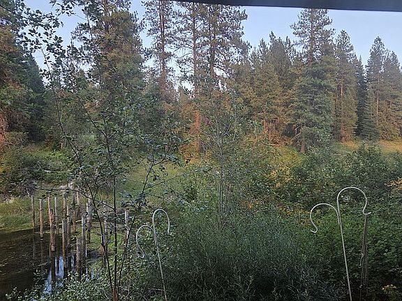 4th image of 40 Tall Pine Loop N