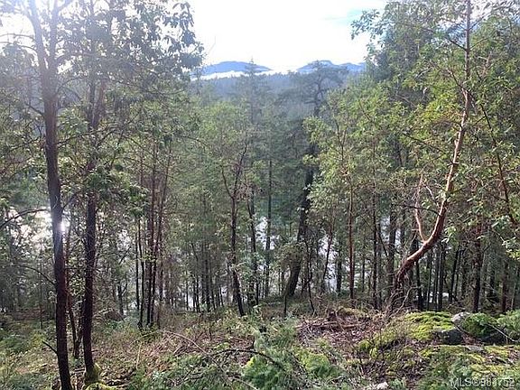 2nd image of 409 Pilkey Point Rd