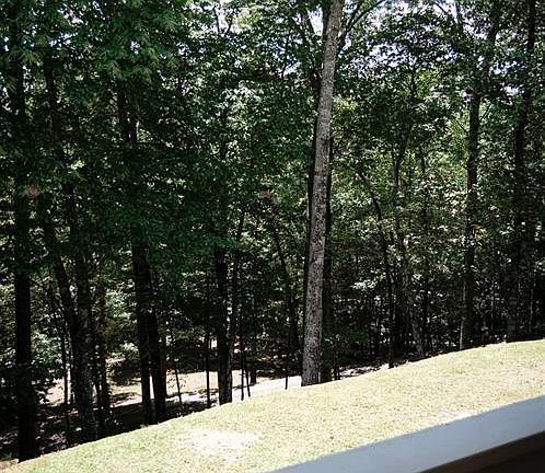 4th image of 717 Deerfield Dr