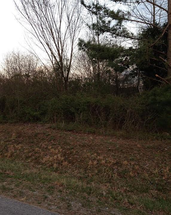 1st image of 217 Oonoga Way