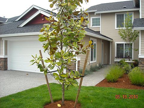1st image of 2514 85th Dr NE Unit W3