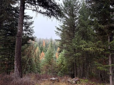 191 Hammond Valley Rd, Trego, MT, 59934