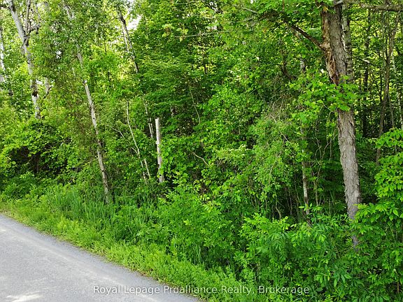 3rd image of 0 Teal Rd