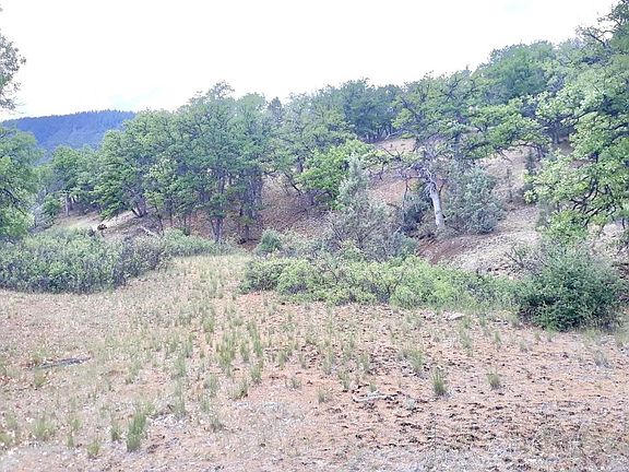3rd image of Ager Rd