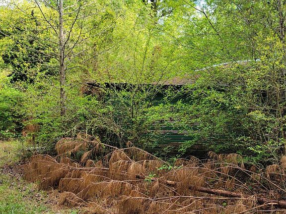 2nd image of 39550 Highway 10