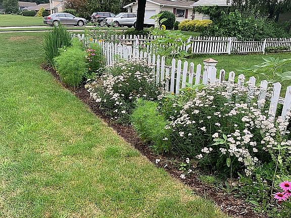 West side of yard with shade