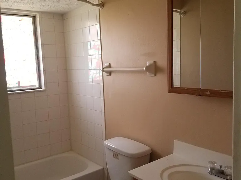Updated Bathroom with new vanity and new toilet commode