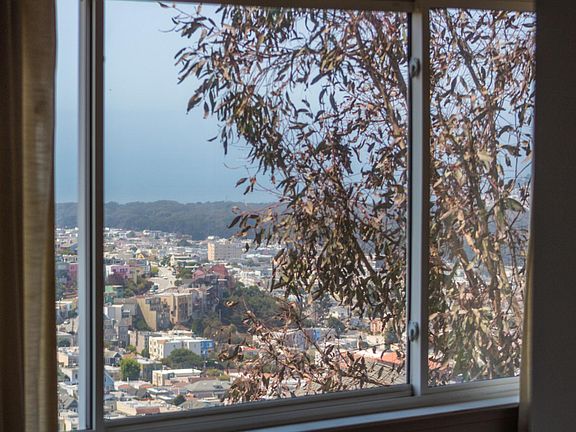 View from the dining room.