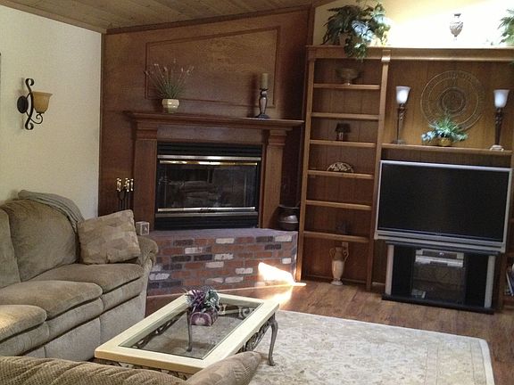 fireplace/wall unit